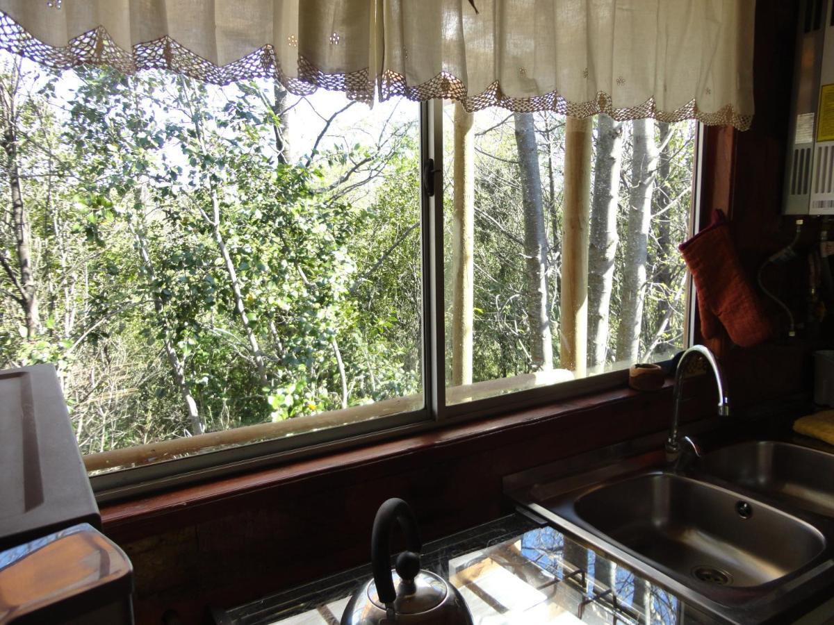 Cabanas Spa Bungalows Huarranchi Pucón المظهر الخارجي الصورة