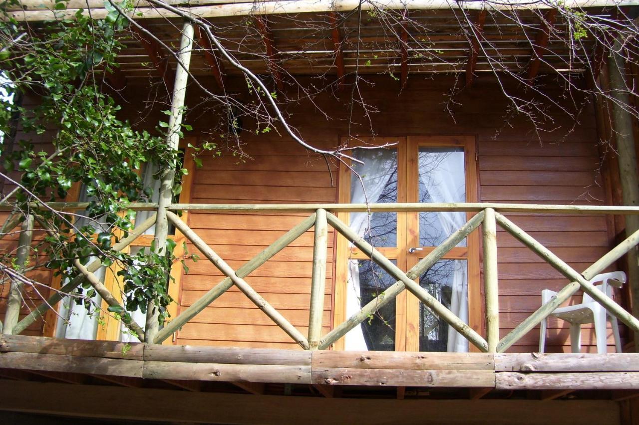 Cabanas Spa Bungalows Huarranchi Pucón الغرفة الصورة